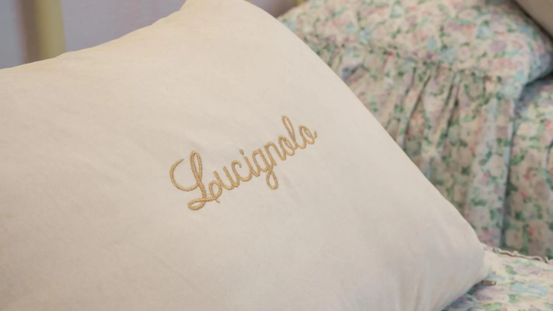 Lucignolo Hotel Fucecchio