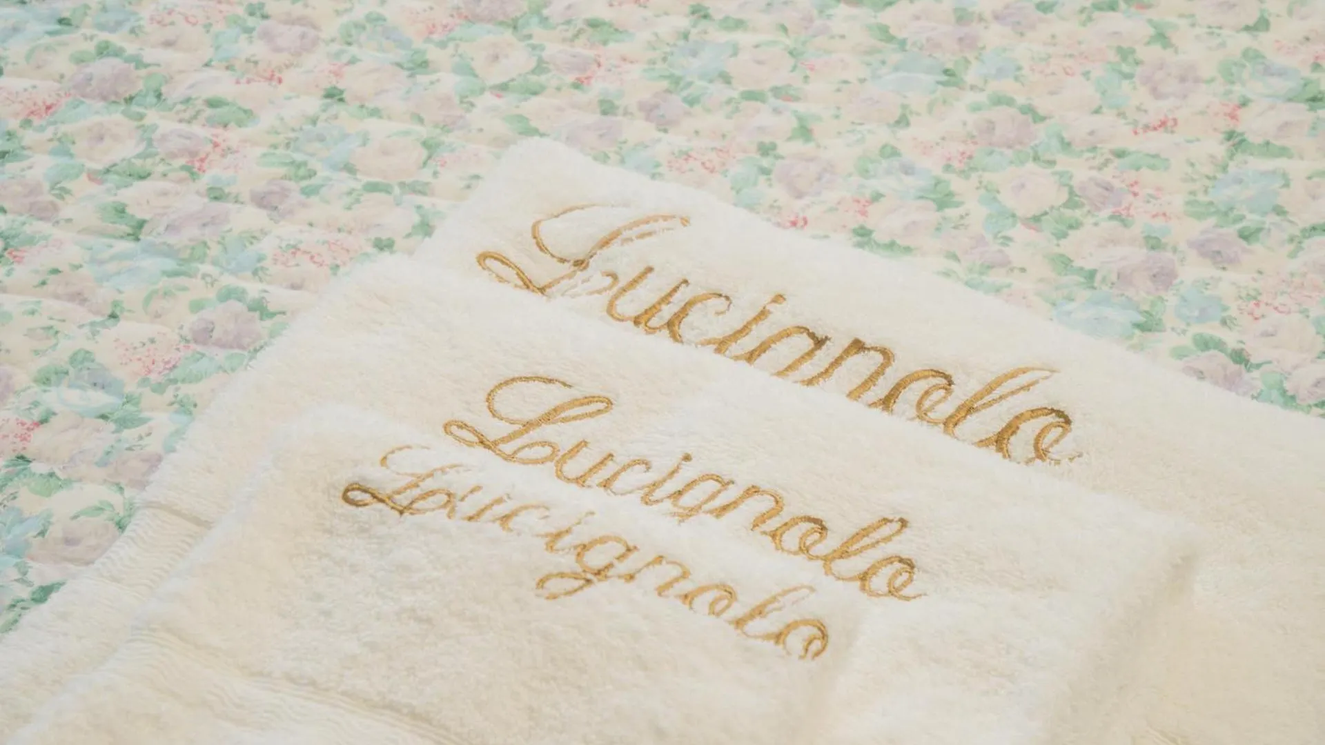 Guest house Lucignolo Hotel Fucecchio